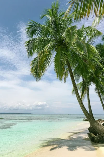 Caribbean Caribbean