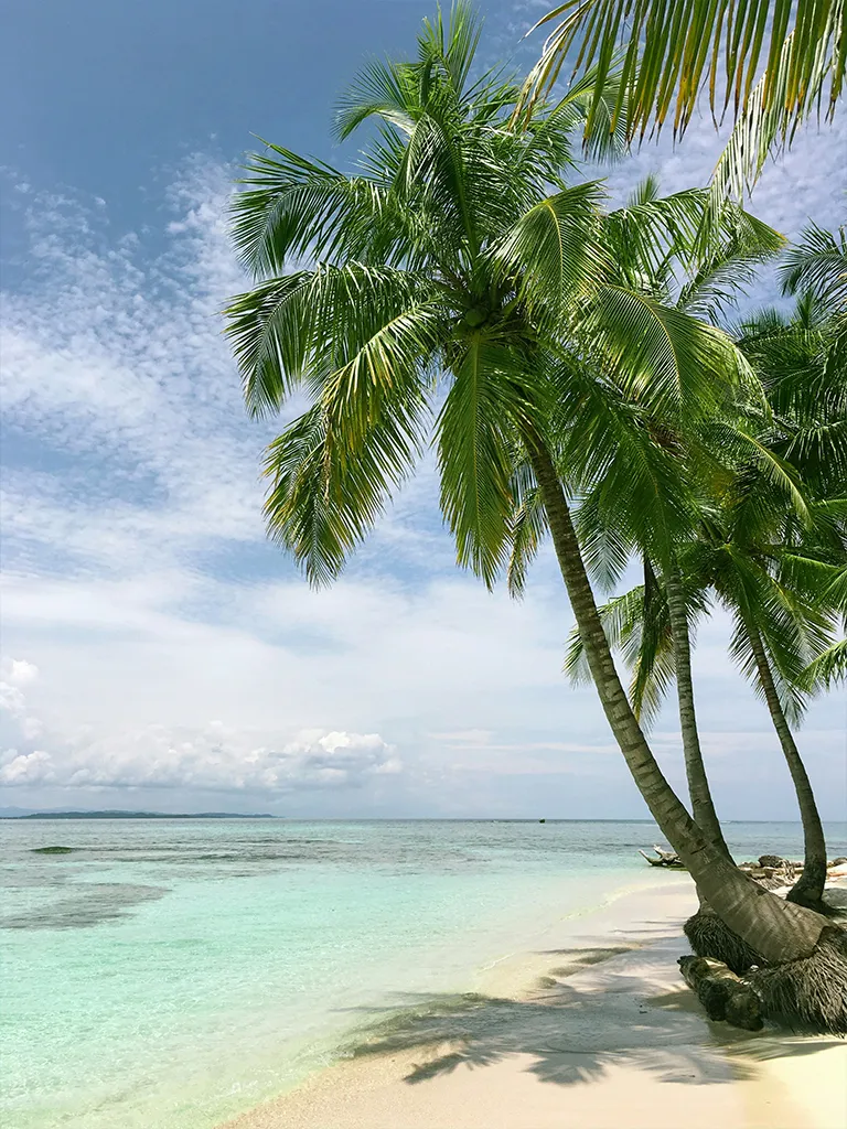 Caribbean Caribbean