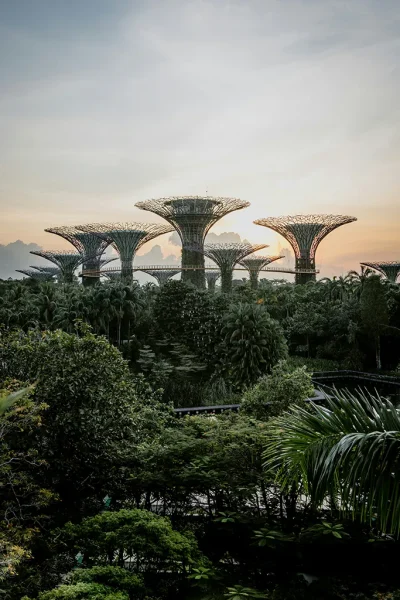 Singapore Singapore