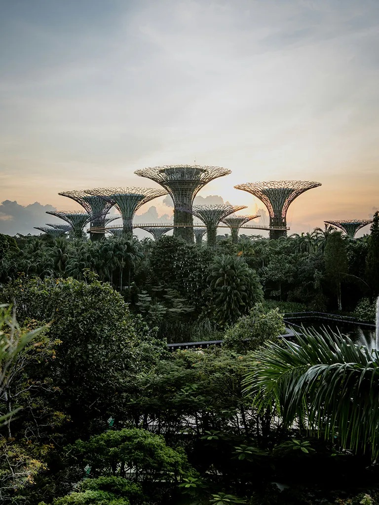 Singapore Singapore